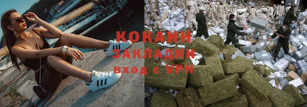 крисы Козловка