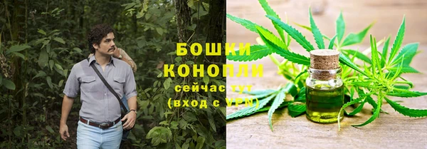 крисы Козловка