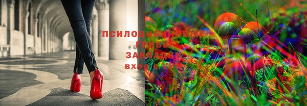 крисы Козловка