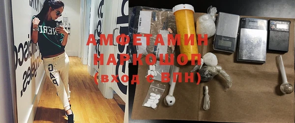 крисы Козловка