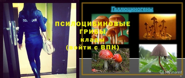 соль курить ск Кодинск