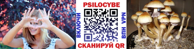 Псилоцибиновые грибы GOLDEN TEACHER Рязань